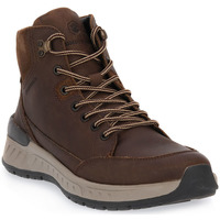 Παπούτσια Άνδρας Μπότες Lumberjack CE007 LARK HIGH CUT Brown