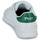 Παπούτσια Χαμηλά Sneakers Polo Ralph Lauren HRT CRT CL-SNEAKERS-HIGH TOP LACE Άσπρο / Green