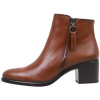 Παπούτσια Γυναίκα Μποτίνια Dorking D8606-SU Brown
