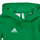 Υφασμάτινα Παιδί Φούτερ adidas Performance ENT22 HOODY Y Green
