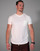 Υφασμάτινα Άνδρας T-shirt με κοντά μανίκια THEAD. HARBEY TEE Άσπρο