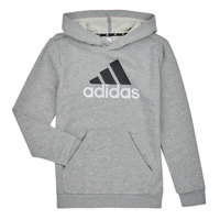 Υφασμάτινα Αγόρι Φούτερ Adidas Sportswear BL 2 HOODIE Bruyère / Grey / Moyen