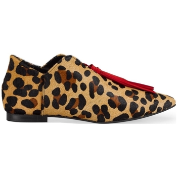 Παπούτσια Γυναίκα Μπαλαρίνες Maray Blossom - Leopard Multicolour