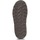 Παπούτσια Γυναίκα Μπότες Bearpaw ALYSSA MUSHROOM 2130W-500 Beige