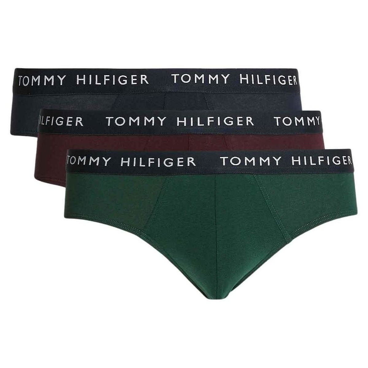 Εσώρουχα Άνδρας Slips Tommy Hilfiger  Multicolour