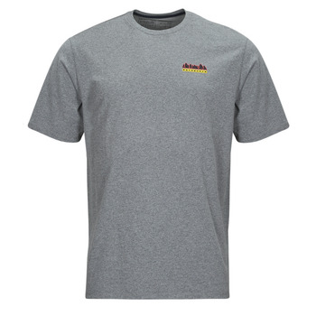 Υφασμάτινα Άνδρας T-shirt με κοντά μανίκια Patagonia M'S FITZ ROY WILD RESPONSIBILI-TEE Grey