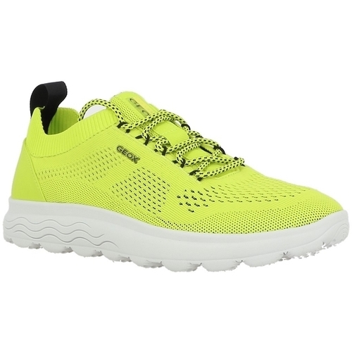 Παπούτσια Άνδρας Sneakers Geox SPHERICA Yellow