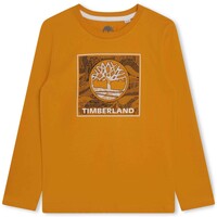 Υφασμάτινα Αγόρι T-shirt με κοντά μανίκια Timberland T25U36-575-C Yellow