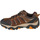 Παπούτσια Άνδρας Πεζοπορίας Skechers Pine Trail - Kordova Brown