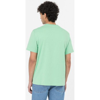 Dickies Ss mapleton t-shirt Green