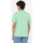 Υφασμάτινα Άνδρας T-shirts & Μπλούζες Dickies Ss mapleton t-shirt Green