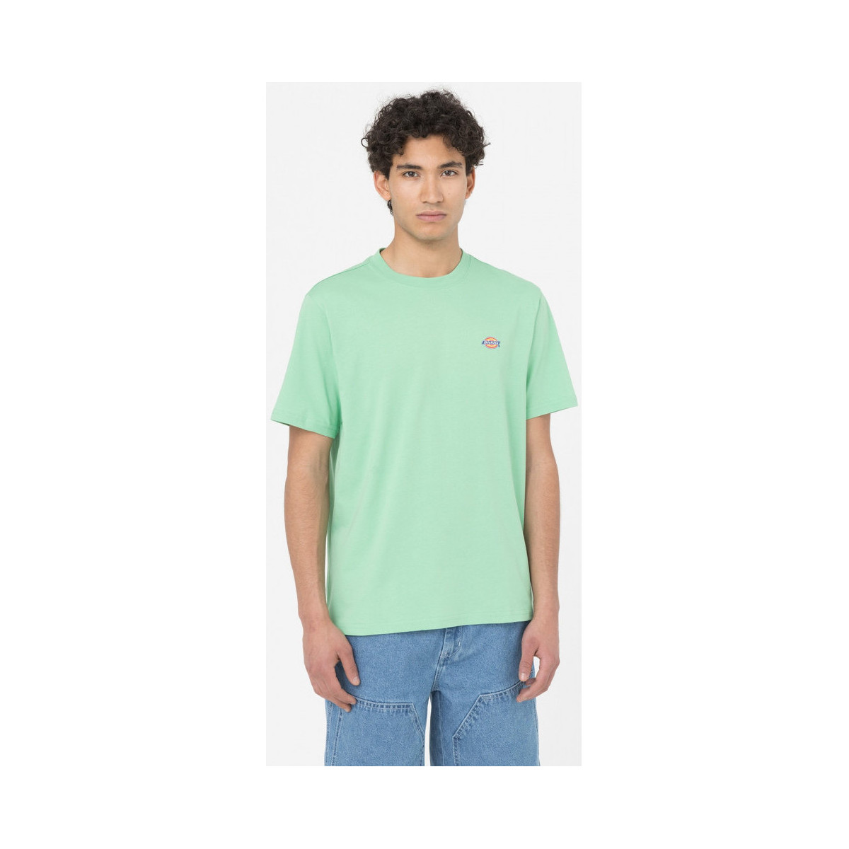 Υφασμάτινα Άνδρας T-shirts & Μπλούζες Dickies Ss mapleton t-shirt Green