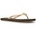 Παπούτσια Γυναίκα Σανδάλια / Πέδιλα MICHAEL Michael Kors 40S1JIFA1Q JINX FLIP FLOP Brown