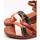 Παπούτσια Γυναίκα Σανδάλια / Πέδιλα Pikolinos  Brown