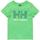 Υφασμάτινα Αγόρι T-shirt με κοντά μανίκια Helly Hansen  Green