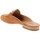 Παπούτσια Γυναίκα Παντόφλες NeroGiardini E218211D Beige