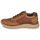 Παπούτσια Άνδρας Χαμηλά Sneakers Rieker B0601-24 Brown