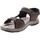 Παπούτσια Άνδρας Σανδάλια / Πέδιλα Valleverde VV-54802 Brown