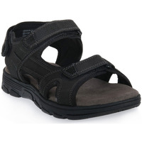 Παπούτσια Άνδρας Σανδάλια / Πέδιλα Lumberjack CB001 SANDAL Black