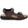 Παπούτσια Άνδρας Σανδάλια / Πέδιλα Valleverde VV-36921 Brown