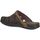 Παπούτσια Άνδρας Σαμπό Rohde 6090 Brown