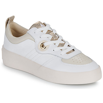 Παπούτσια Γυναίκα Χαμηλά Sneakers Armistice LOVA SNEAKER Άσπρο / Beige / Gold