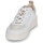 Παπούτσια Γυναίκα Χαμηλά Sneakers Armistice LOVA SNEAKER Άσπρο / Beige / Gold