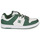Παπούτσια Άνδρας Χαμηλά Sneakers DC Shoes MANTECA 4 Άσπρο / Kaki