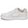 Παπούτσια Γυναίκα Χαμηλά Sneakers DC Shoes MANTECA 4 Beige / Άσπρο