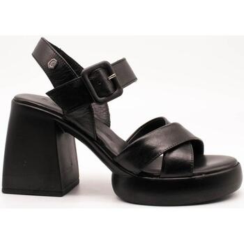 Παπούτσια Γυναίκα Σανδάλια / Πέδιλα Carmela  Black