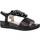 Παπούτσια Γυναίκα Σανδάλια / Πέδιλα Stonefly 110303S EVE Black