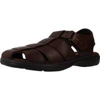 Παπούτσια Άνδρας Σανδάλια / Πέδιλα Fluchos F0533 Brown