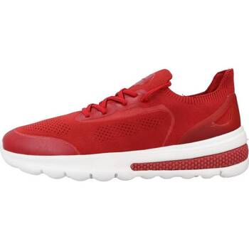 Παπούτσια Άνδρας Sneakers Geox U SPHERICA ACTIF A Red