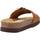 Παπούτσια Γυναίκα Σανδάλια / Πέδιλα Geox D BRIONIA HIGH L Brown