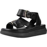 Παπούτσια Γυναίκα Σανδάλια / Πέδιλα Mjus M38049 Black