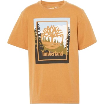 Υφασμάτινα Άνδρας T-shirt με κοντά μανίκια Timberland 212160 Yellow