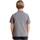 Υφασμάτινα Αγόρι T-shirt με κοντά μανίκια Scalpers  Grey