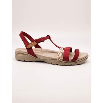 Παπούτσια Γυναίκα Σανδάλια / Πέδιλα Clarks  Red