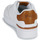 Παπούτσια Χαμηλά Sneakers Polo Ralph Lauren MASTERS COURT Άσπρο / Tan
