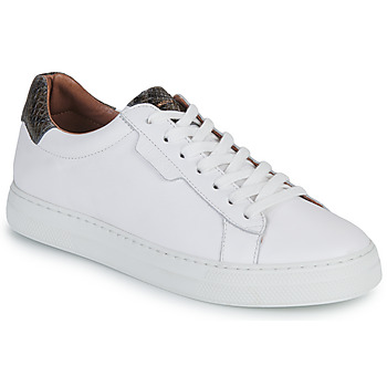 Παπούτσια Γυναίκα Χαμηλά Sneakers Schmoove SPARK CLAY Άσπρο / Grey