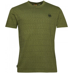 Υφασμάτινα Άνδρας T-shirts & Μπλούζες Superdry Vintage texture Green