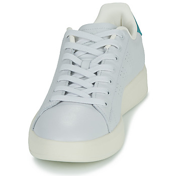 Adidas Sportswear ADVANTAGE PREMIUM Grey / Μπλέ