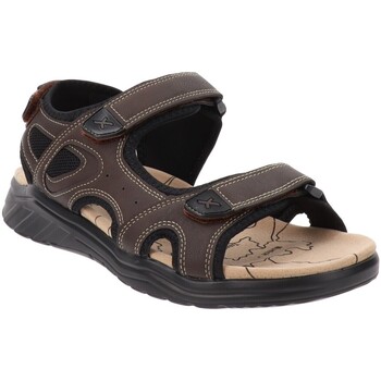 Παπούτσια Άνδρας Σανδάλια / Πέδιλα Axa -67120A Brown