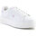 Παπούτσια Γυναίκα Χαμηλά Sneakers Fila Crosscourt Altezza F Wmn FFW0212-13199 Άσπρο