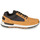 Παπούτσια Άνδρας Χαμηλά Sneakers Timberland KILLINGTON TREKKER F/L LOW Beige
