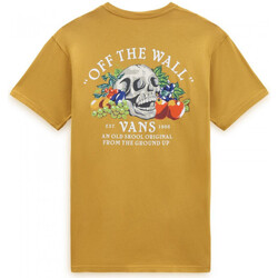 Υφασμάτινα Άνδρας T-shirts & Μπλούζες Vans Ground up ss tee Orange