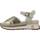 Παπούτσια Γυναίκα Σανδάλια / Πέδιλα Liu Jo BA3163 TX329 Gold