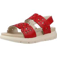 Παπούτσια Γυναίκα Σανδάλια / Πέδιλα Fluchos F1710 Red
