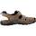 Παπούτσια Άνδρας Σανδάλια / Πέδιλα IgI&CO 3641222 Brown