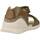 Παπούτσια Αγόρι Σανδάλια / Πέδιλα Biomecanics 232165B Brown